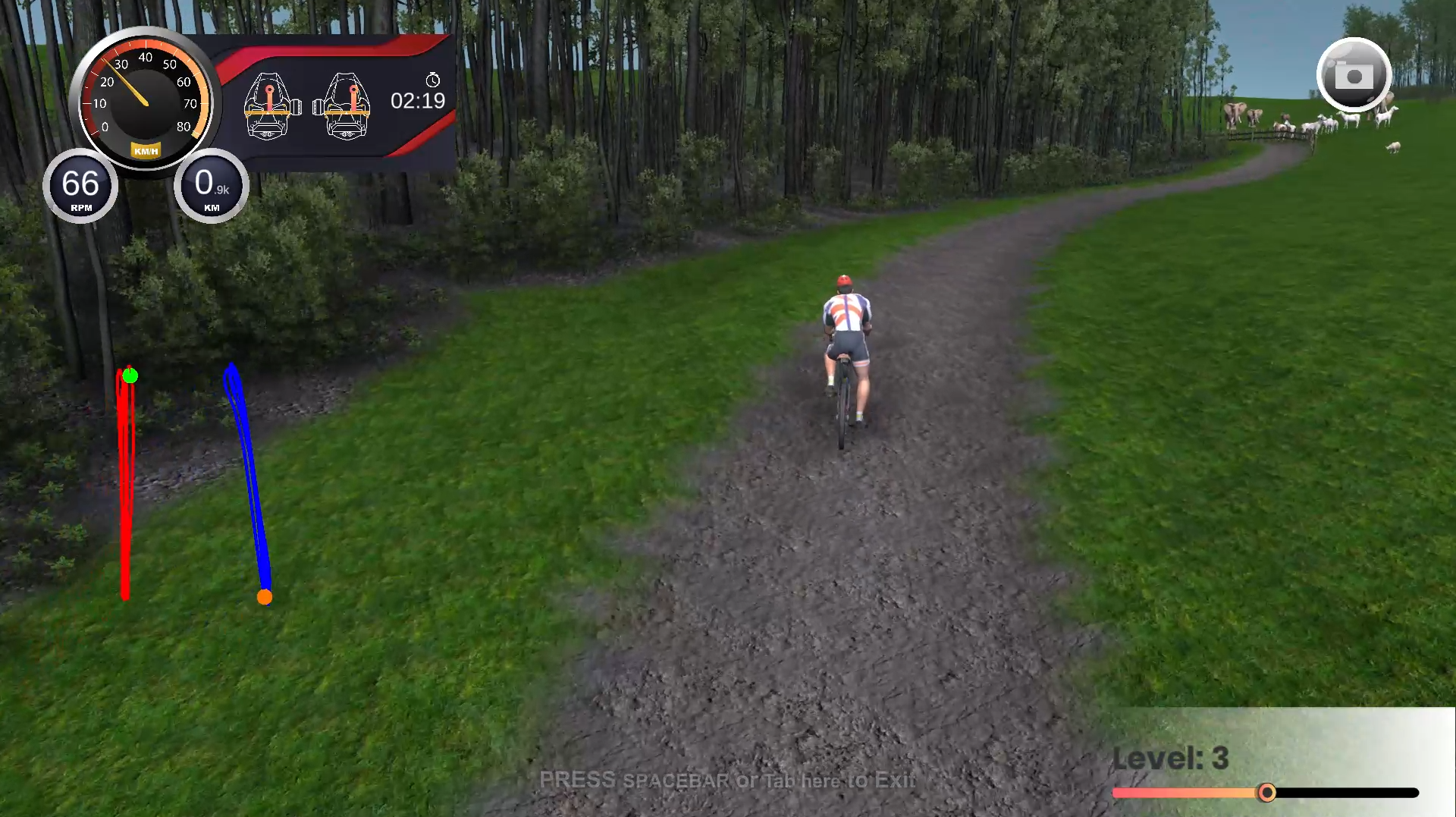 TEKFIT Cycle Ride Leader-3D Forest Road Scene